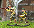 Collectors Battlefiel Military Miniatures