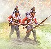 Collectors Showcase