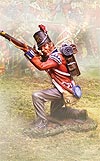 Collectors Showcase