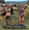 Collectors Showcase